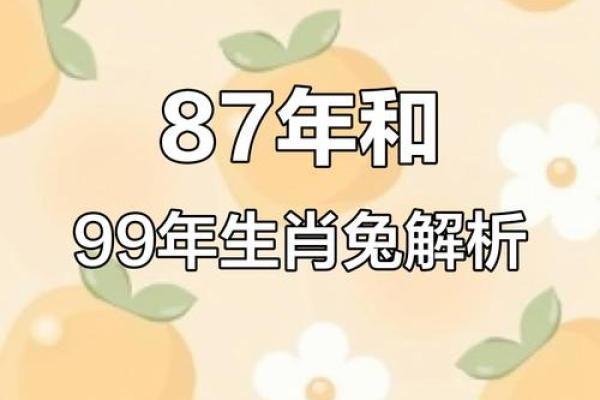1999年属兔最佳结婚年龄