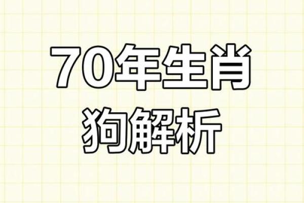 生肖狗2024年农历二月提车黄道吉日 属狗阴历二月提车最佳日子
