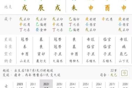 1987年农历11月初五命格 1987年11月初五是什么星座