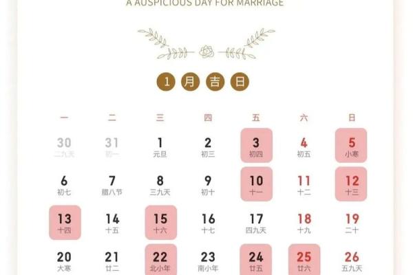 2025年属猪的几月结婚最佳 95年属猪的最佳配偶