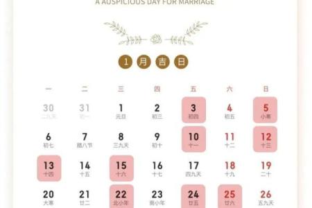 2025年属猪的几月结婚最佳 95年属猪的最佳配偶