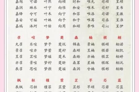 属蛇寅时出生的男孩取什么名字，应该用什么字姓名