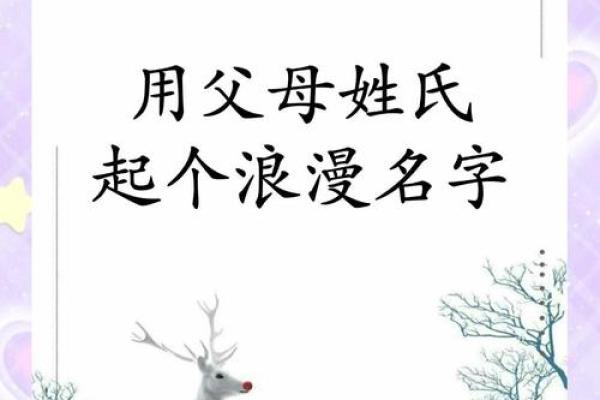 凌晨5点出生的属鼠男孩宜用什么字来取名字姓名
