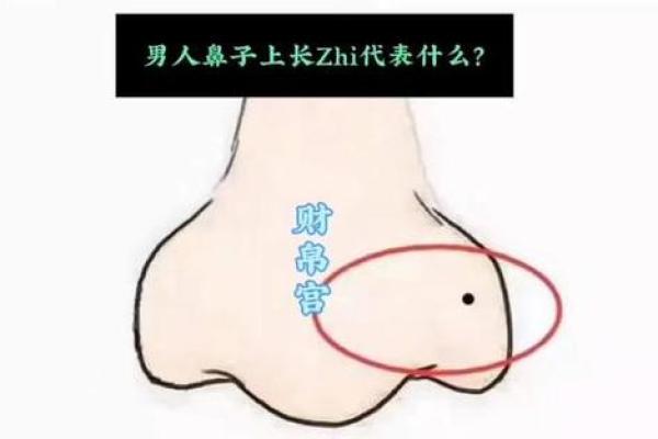 面相风水鼻头大的男人好不好是长寿命吗