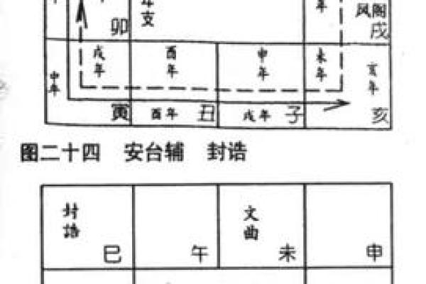 中州紫薇斗数实例