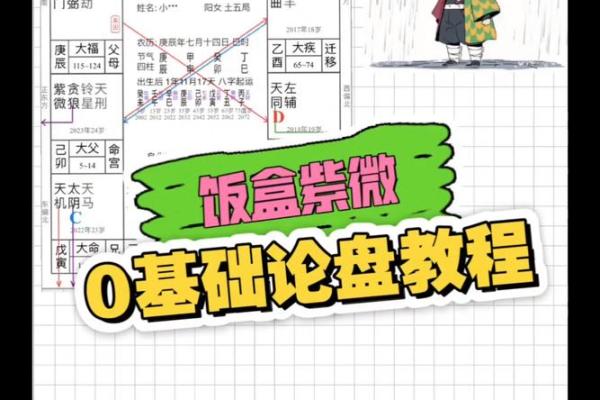 南北派紫薇斗数