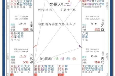 紫薇斗数命盘怎么看