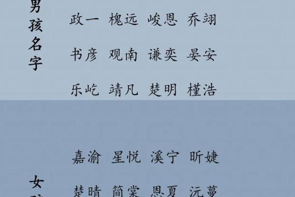 2019年3月27号酉时出生的男孩应该起什么样的名字姓名