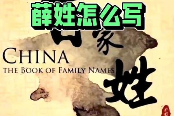 薛姓男孩名字大全-薛姓男孩起名字大全-薛姓名字大全姓名