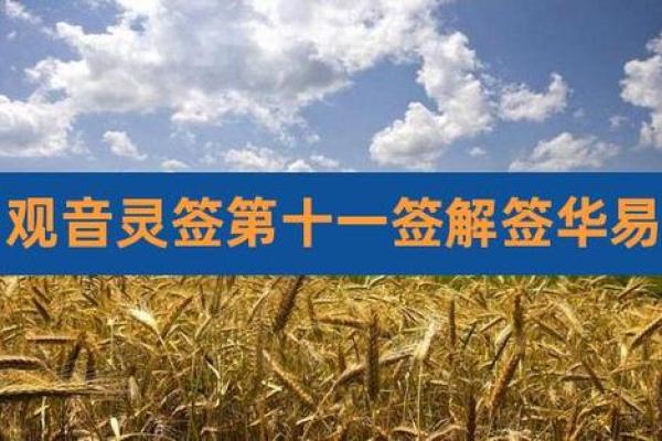 衢州东岳灵签11签