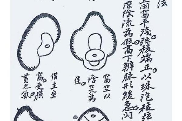 风水学中的穴位，都有哪些禁忌