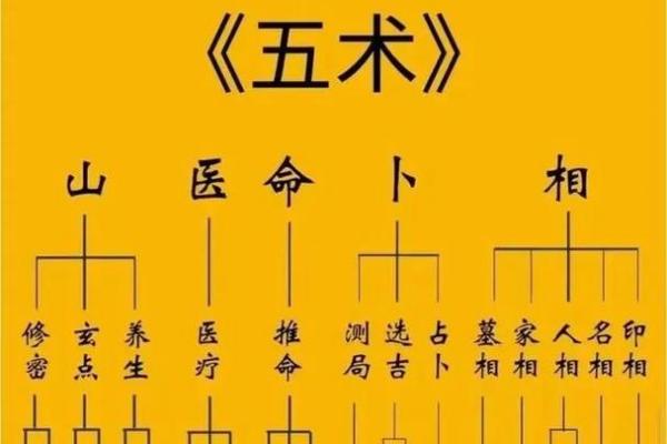 紫薇斗数纳音数
