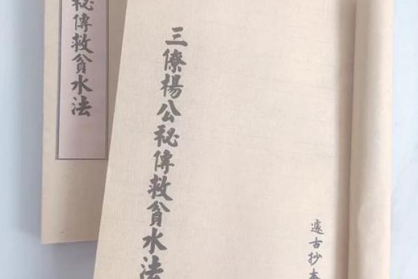 正宗杨公风水_杨救贫和赖布衣谁厉害