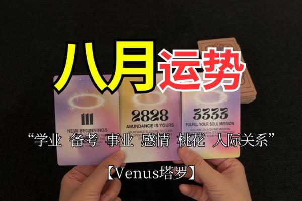 塔罗牌测试八月你的健康运
