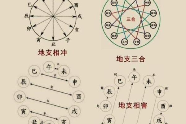 八字中地支半合局是什么意思