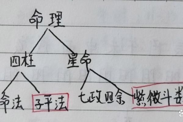 聪明的八字