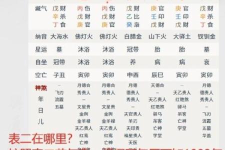 查八字命宫
