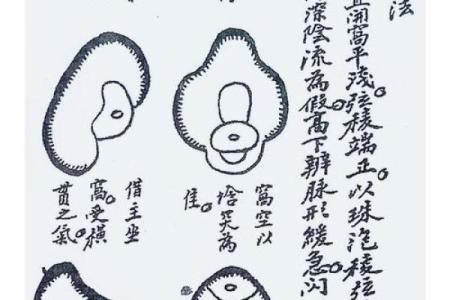 风水学中的穴位，都有哪些禁忌
