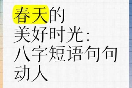 八字短语