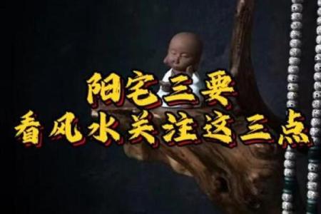 阳宅三要看门，商业风水重气口
