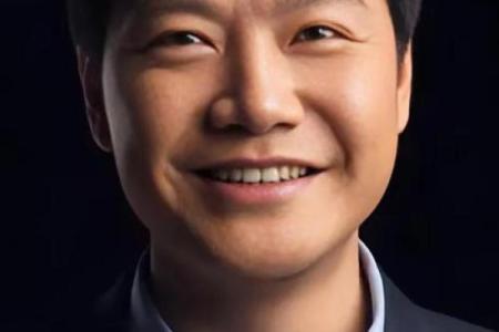 雷军紫薇斗数