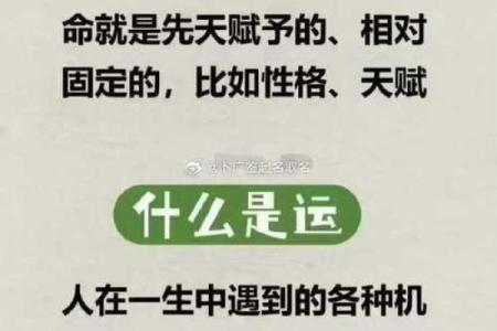 聪明的八字