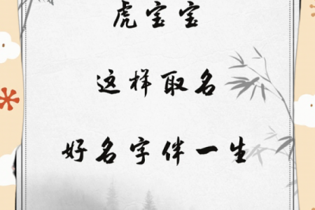 上午11点出生的属虎男孩起什么名，用什么字姓名