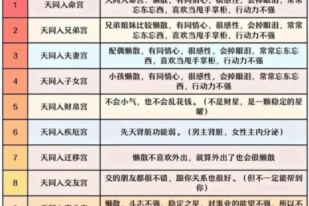 福德宫紫薇斗数