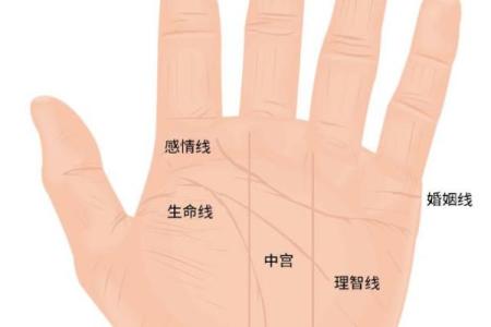 手相算命图解：3种手掌纹路看你是否能暴富，大富大贵享不尽