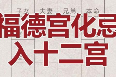 紫微斗数诸星落诸宫之：天同星福德宫详解
