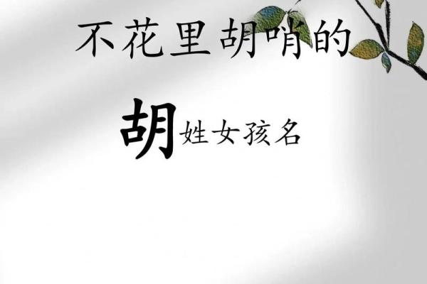 胡姓女孩名字大全-胡姓女孩起名字大全-胡姓名字大全姓名
