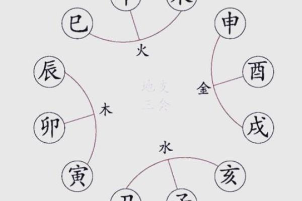 八字地支三会是怎么应用的？