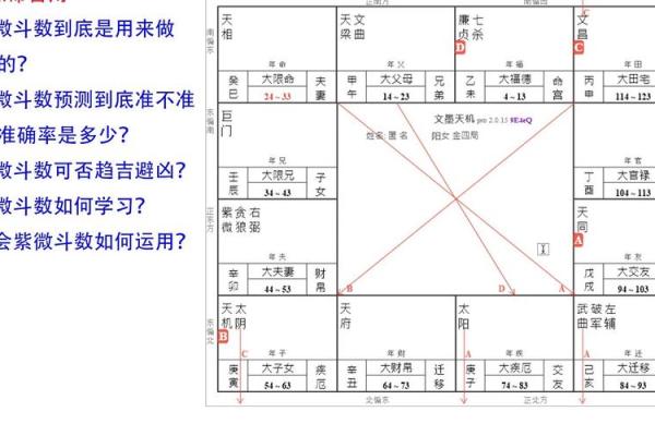 紫薇斗数流年事业运势
