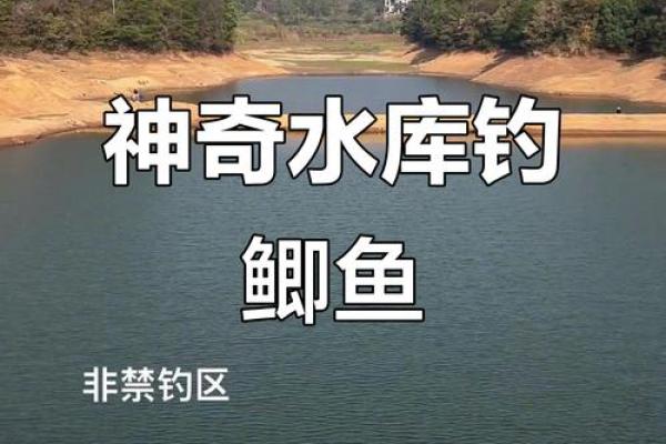 风水水库_30米深的水库钓鱼钓多深