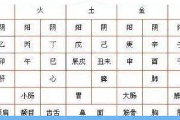 八字偏阴