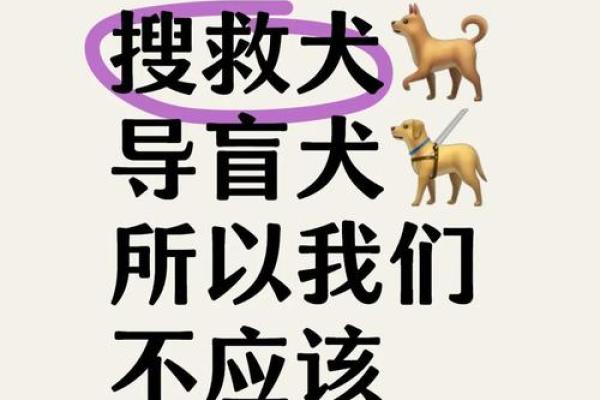 哪些人八字中不宜吃狗肉