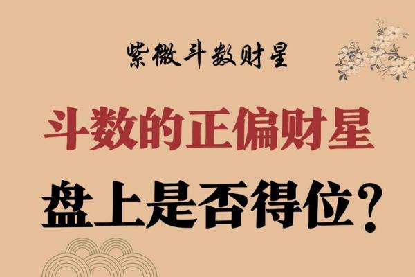 紫薇斗数看财气