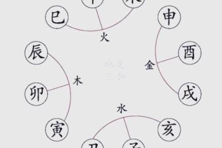 八字地支三会是怎么应用的？