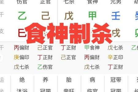 食神制杀八字