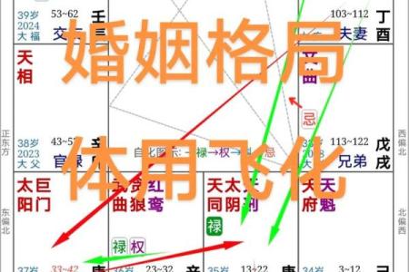 夫之迁紫薇斗数