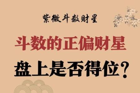 紫薇斗数看财气