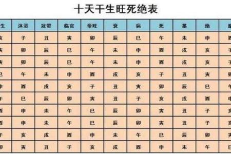看生辰八字看什么