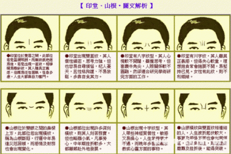 头发算命,头发向前倒的人的面相分析