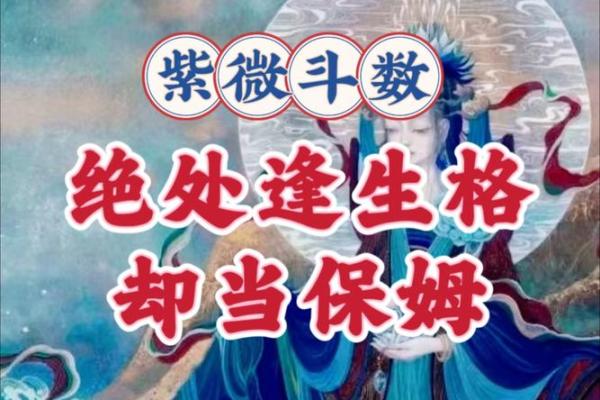 漫画紫薇斗数