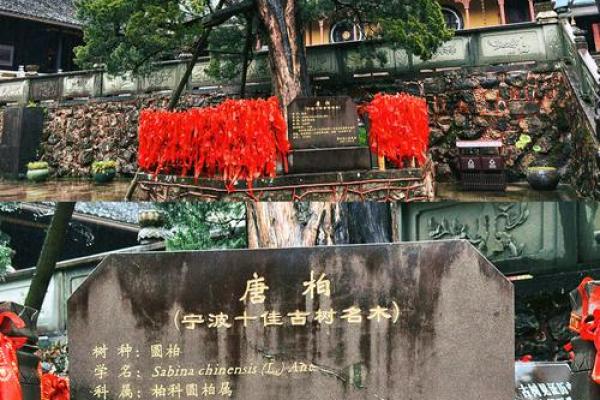 宁波天童寺附近算命准吗