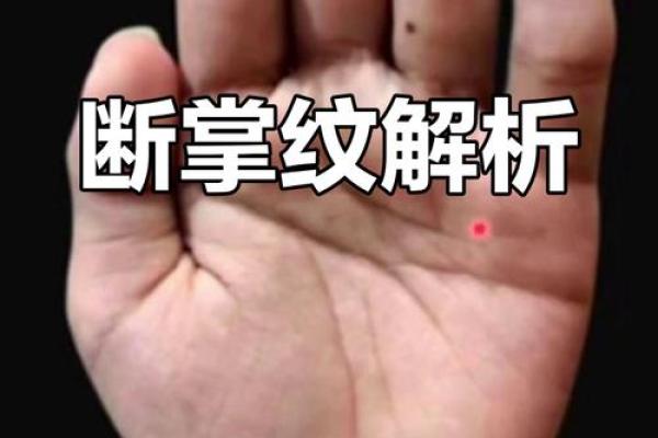 男人断掌手相算命,男人掌纹图解算命