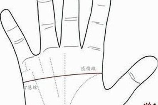 男人断掌手相算命,男人掌纹图解算命