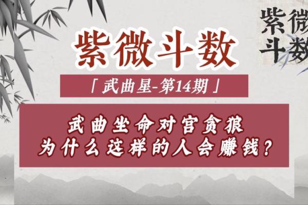 紫薇斗数大限武曲