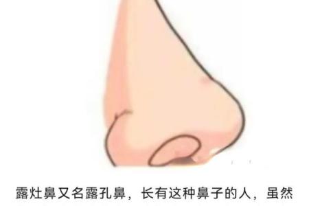 相面算命看见鼻孔好吗