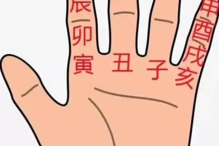 八字命理 什么样的八字长相很美